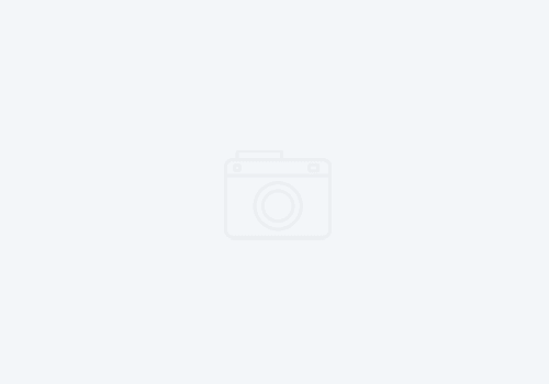 Non Allowable Items (RexMoving.CA)